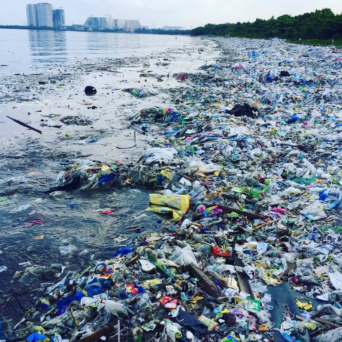 Albums 100+ Images picture of plastic in the ocean Stunning